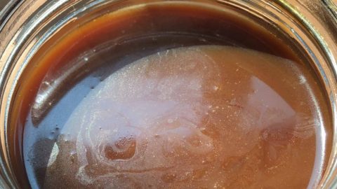 Coconut Palm Syrup